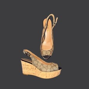 Coach Wedges